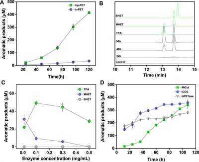 Catalytic Features and Thermal Adaptation Mechanisms of a Deep Sea Bacterial Cutinase-Type Poly(Ethylene Terephthalate) Hydrolase